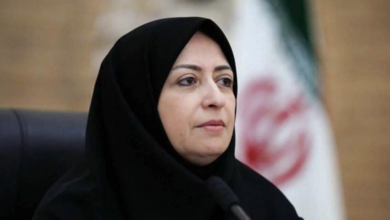 شینا انصاری