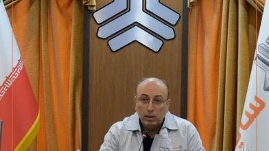 علی شیخ‌زاده
