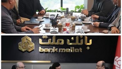 مدیرعامل بانک ملت