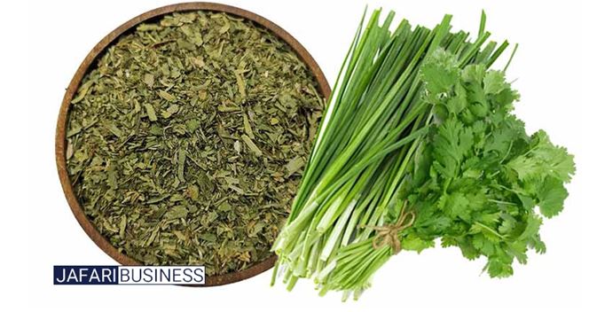 نتیجه گیری و یک مسیر روشن برای آینده