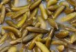 خیارشور