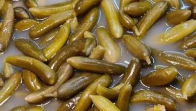 خیارشور