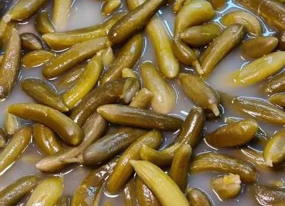 خیارشور