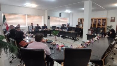 مهدی پارسایی