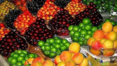 میوه