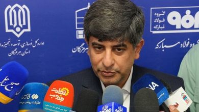 سعید زرندی
