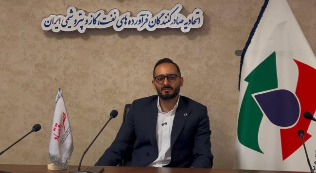 سید حامد حسینی