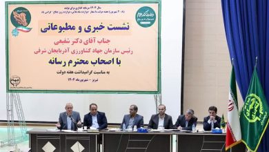 شفیعی