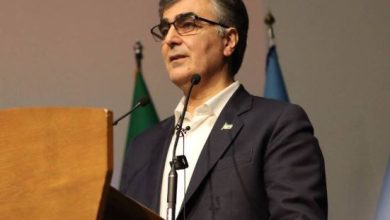 فرزین