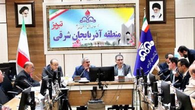 ناصر راشدی