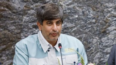 سعید زرندی