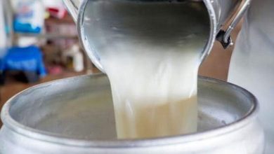 شیر خام