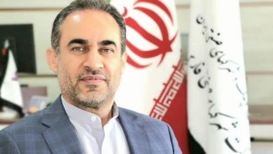 مدیرعامل شرکت شهرک‌های صنعتی فارس