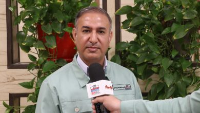 مهدی شکری‌زاده