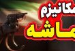 مکانیزم ماشه