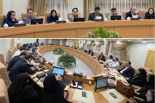 نفت ری‌سان