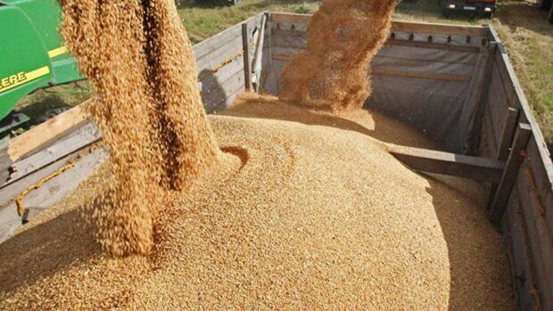 نهاده&zwnj;های دامی