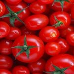 بازار گوجه فرنگی