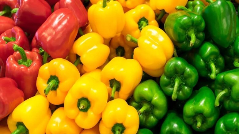 فلفل دلمه ای