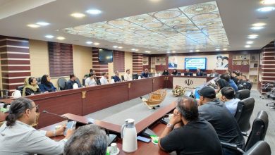 نشست هم‌اندیشی هنرمندان