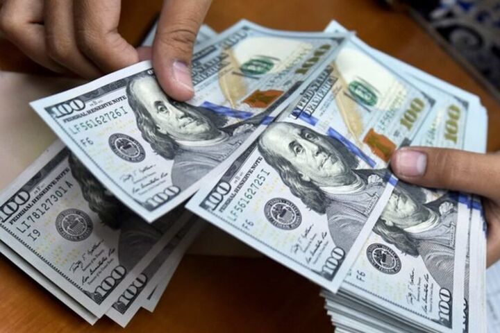 بازار ارز تجاری