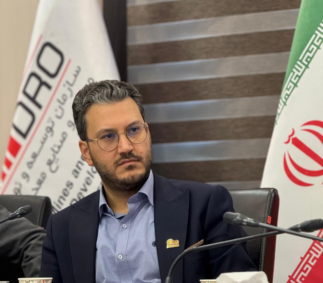 سید امیر برهانی نائینی
