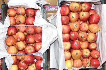 بازار میوه