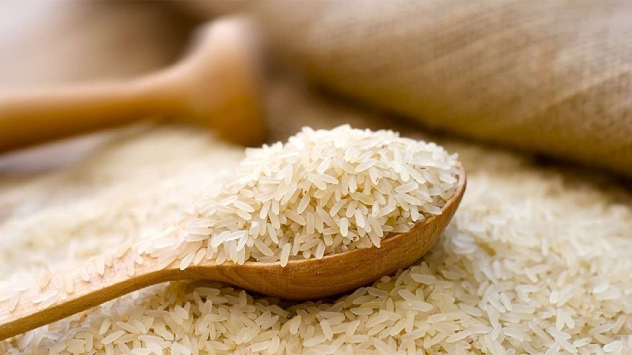 واردات برنج