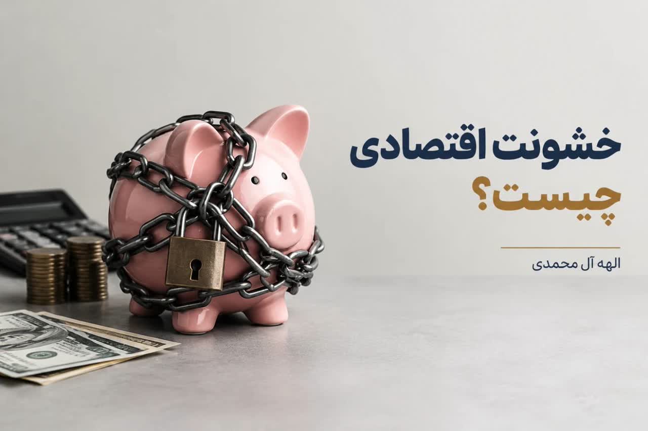 خشونت اقتصادی چیست