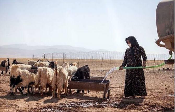 عشایر و دامداران