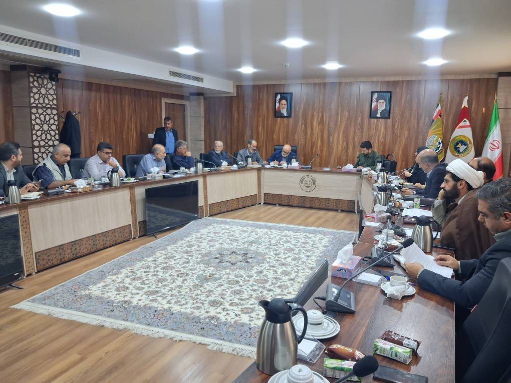 نخستین جلسه کارگروه راهبردی بازتوانی و تاب‌آوری برگزار شد