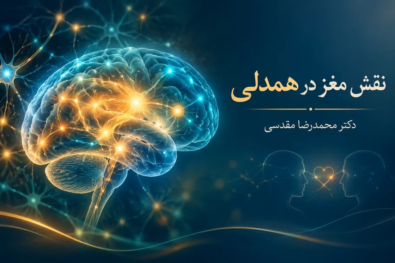 نقش مغز در همدلی و روابط اجتماعی